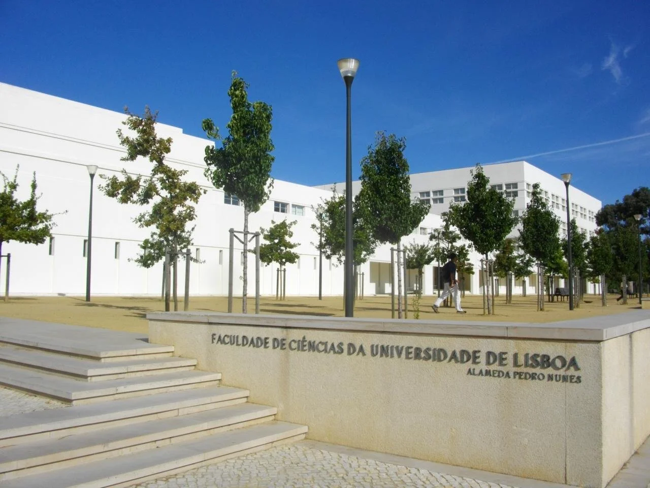 Faculdade de Ciências da Universidade de Lisboa